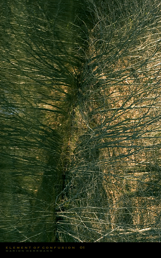 1445.jpg