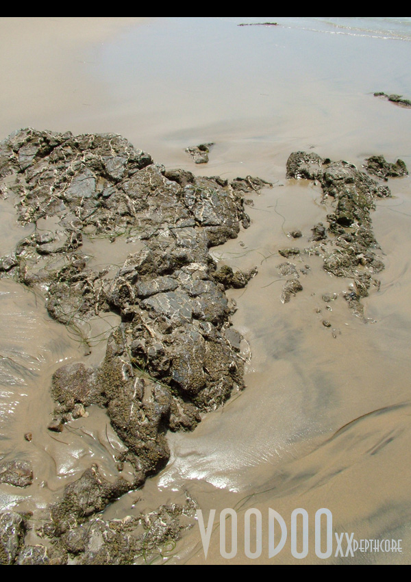 2156.jpg